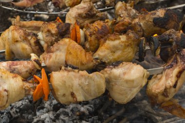 Yaz aile akşam yemeği için pişmiş çeşitli et tavuk ve domuz eti ve çeşitli sebzeler barbekü ızgara