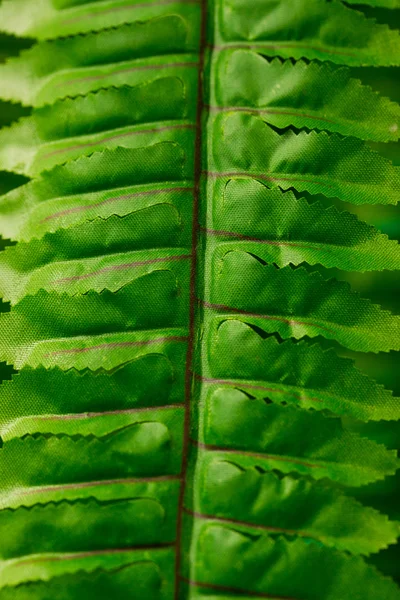 Hermosa producción de fauna en el invernadero. Profundidad superficial del campo . —  Fotos de Stock