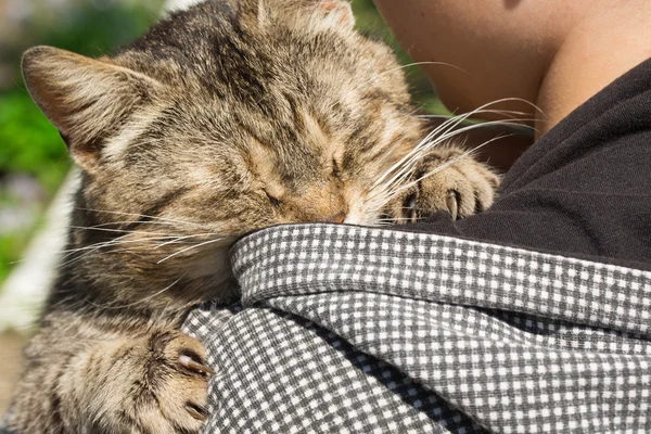 El gatito duerme sobre el hombro del muchacho — Foto de Stock