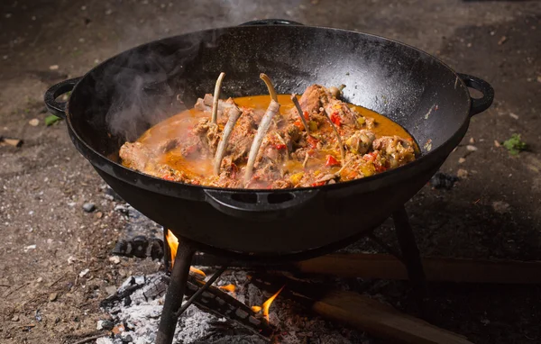 火焰燃烧森林旅游的生活方式度假概念在室外的蒸煮锅 — 图库照片