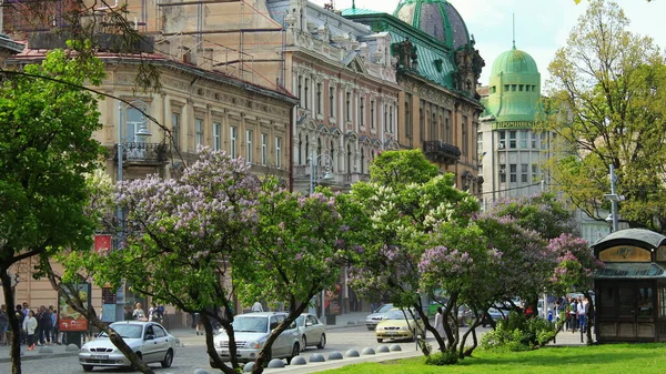 Antik Ukrayna şehri Lviv. Ukrayna 'nın ve dünyanın eski şehirlerinin mimarisi. Lviv 'in merkezindeki eski evler. Eski şehrin sokakları. Ukrayna şehirleri. Eski şehirde arabalar..
