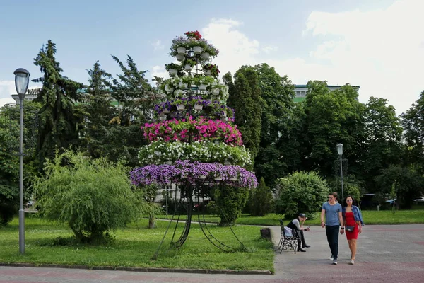 Dekorativní Květiny Městských Parků Ulic Přírodní Pozadí Květinami Pro Telefony — Stock fotografie