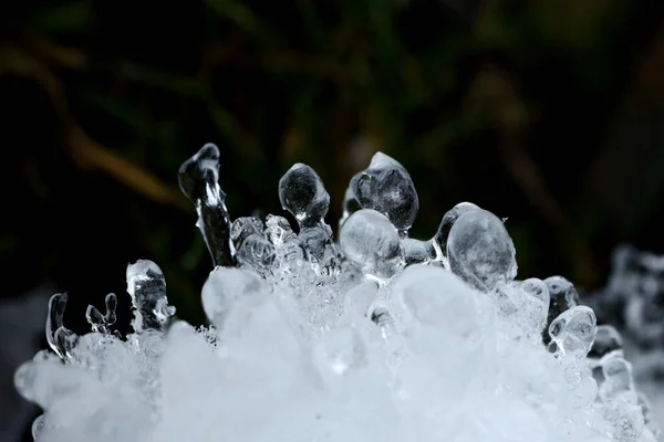 氷のカバーの下の緑の草 凍った水滴 雪氷の質感と構造 — ストック写真