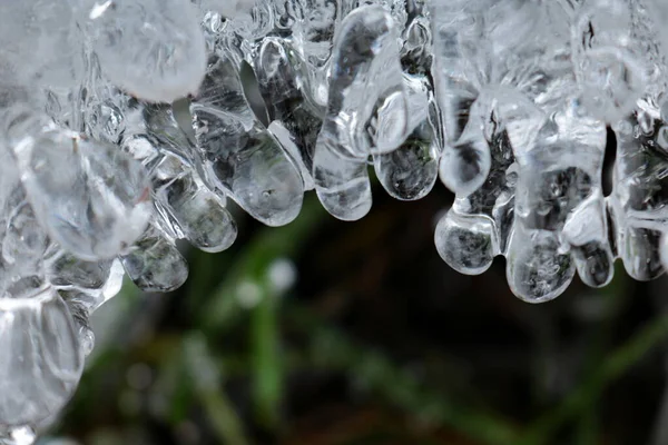 Grama Verde Sob Cobertura Gelo Gotas Água Congeladas Textura Estrutura — Fotografia de Stock