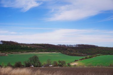 Ukrayna 'da tarım endüstrisi. Ukrayna kırlarında güneşli bahar günleri. Bitkilerin zararlılardan kimyasal olarak korunması. Telefon ve tabletler için bahar arkaplanı.