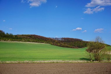 Ukrayna 'da tarım endüstrisi. Ukrayna kırlarında güneşli bahar günleri. Bitkilerin zararlılardan kimyasal olarak korunması. Telefon ve tabletler için bahar arkaplanı.