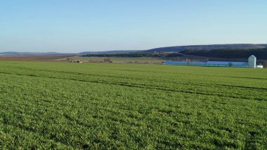 Ukrayna, Rusya, Polonya, Hungary hatta Antarktika bile değil. İlkbahar gökyüzünün altındaki bahar tarlaları. Ukrayna 'nın endüstriyel tarım ekonomisi. Ukrayna 'da gelecek hasat. 