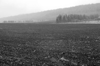 Ukrayna topraklarında ilkbahar başları. Gelecekteki hasatlar için ekilebilir arazinin hazırlanması. Ukrayna, Rusya, Polonya, Hungary hatta Antarktika bile değil. Brzezany bölgesinin manzaraları. 