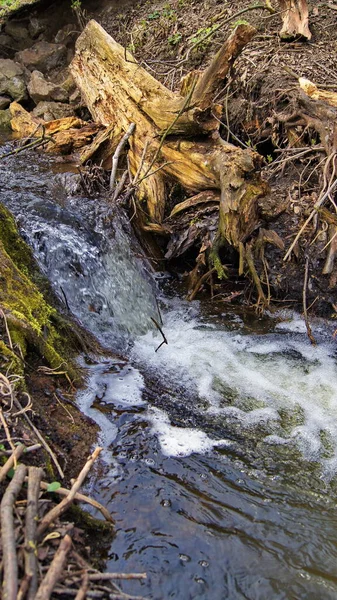 Nascentes Rios Ucrânia Com Água Limpa Fluxo Rápido Fonte Artérias — Fotografia de Stock