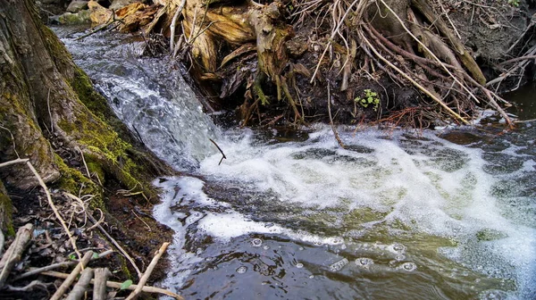 Nascentes Rios Ucrânia Com Água Limpa Fluxo Rápido Fonte Artérias — Fotografia de Stock