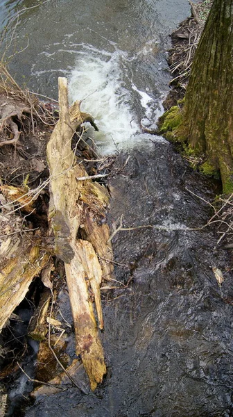 Quellen Und Flüsse Der Ukraine Mit Sauberem Wasser Schneller Fluss — Stockfoto