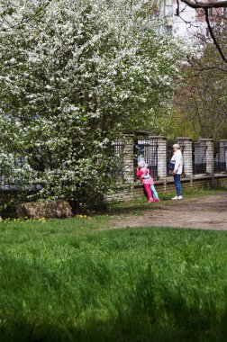Ukrayna üzerinde güneşli bir gün. Ternopil yaşadığın şehir. Şehrin sokaklarında güneşli bir bahar günü. Bahar fotoğrafları. 