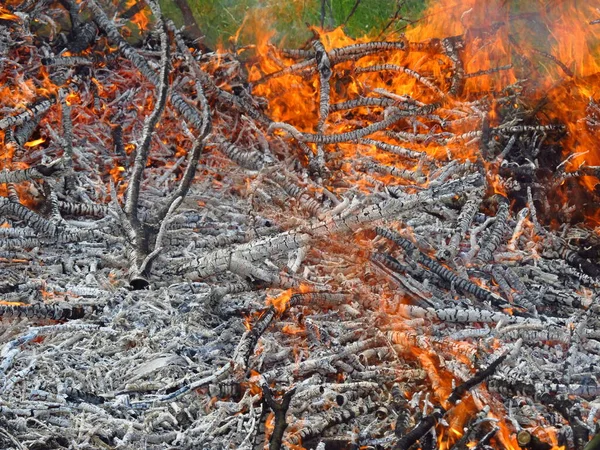 Chama Fogo Elementos Natureza Serviço Homem Queima Madeira Seca Palha — Fotografia de Stock