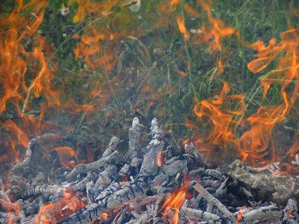 Ildslue Naturens Elementer Til Gavn Mennesket Brændende Tørt Træ Halm - Stock-foto