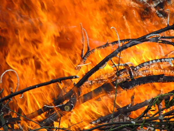 Chama Fogo Elementos Natureza Serviço Homem Queima Madeira Seca Palha Fotos De Bancos De Imagens Sem Royalties