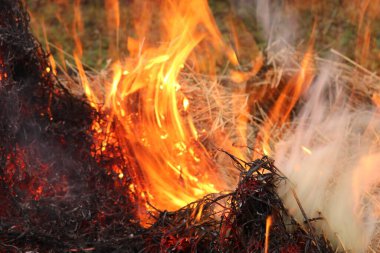 Ateş alevi. Doğanın elementleri insanın hizmetindedir. Kuru odun ve saman yakmak. Telefon ve tabletler için ateş yakmak. Ateş ve duman. Ateş doğanın elementlerinden biridir. Ateş için odun ve saman yiyeceği. ateş fırını.