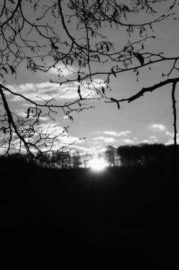 Brzezany bölgesindeki Verbiv köyünde gün doğumu. Sabah gökyüzü.  