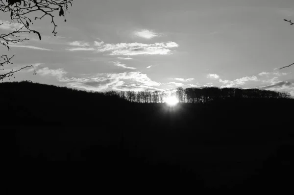 Схід Сонця Селі Верб Бжезані Ранкове Небо — стокове фото