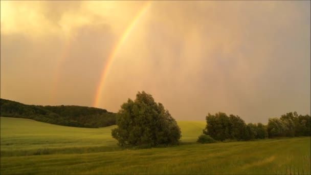 Ukrainian Evening Landscape Rainy Summer Rainbow Thunderstorm — Stock Video