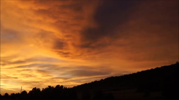 Oekraïense Avond Landschap Regenachtige Zomer — Stockvideo