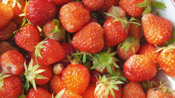 Fresh strawberries. Composition with strawberries on a plate. Bright straw berries.