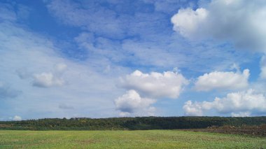 Ukrayna doğası. Mavi Ukrayna gökyüzü. Ekilmiş tarla. Mavi Ukraynalı 'nın altında. Flora ve fauna, yeşil gezegen, yeşil bitkiler, hasat, doğa, bitki yiyeceği, tarlalardan gelen bitkiler, Ukrayna tarlaları, genç bitkiler