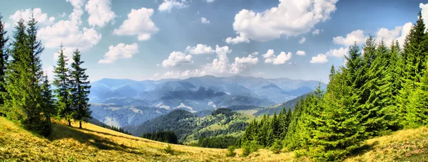 Гірський краєвид (літо) — стокове фото