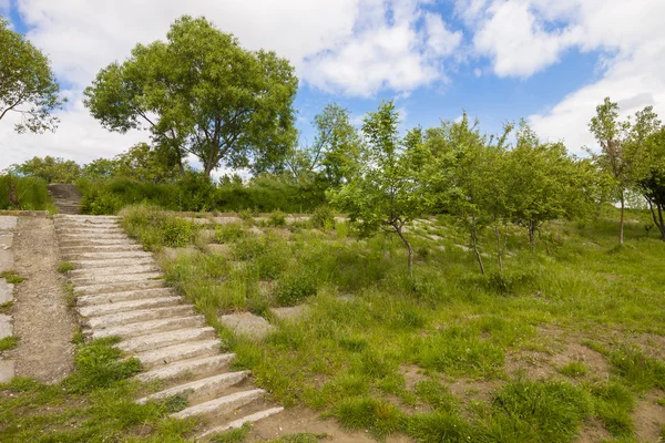 Viejas escaleras de hormigón en ruinas con árboles verdes y hierba y azul s —  Fotos de Stock