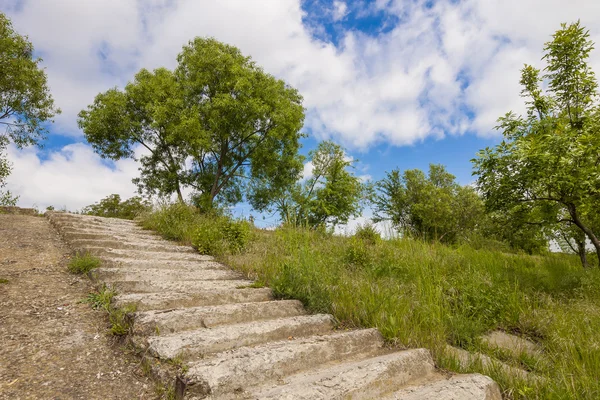 Viejas escaleras de hormigón en ruinas con árboles verdes y hierba y azul s —  Fotos de Stock