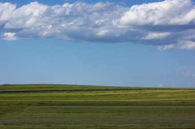Mavi gökyüzü ve bulutlar ile güneşli günde yeşil alan