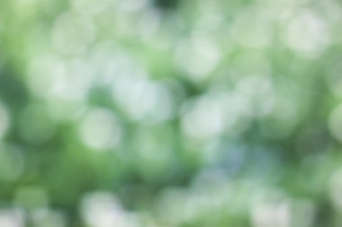 Soyut bokeh yeşil çember arkaplanı