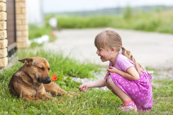 快乐的女孩显示红色花到一只狗 — 图库照片