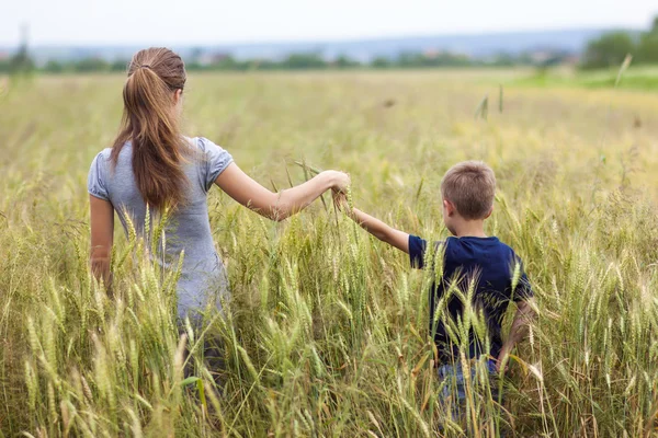 Mujer joven y niño pequeño su hijo de pie en el campo de trigo. Uni — Foto de Stock