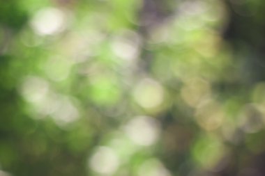 Soyut bokeh yeşil çember arkaplanı