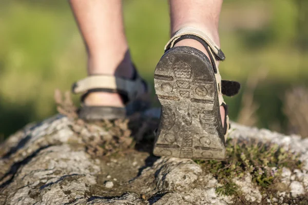 Coseup of sport shoes on trail walking in mountains, outdoors ac