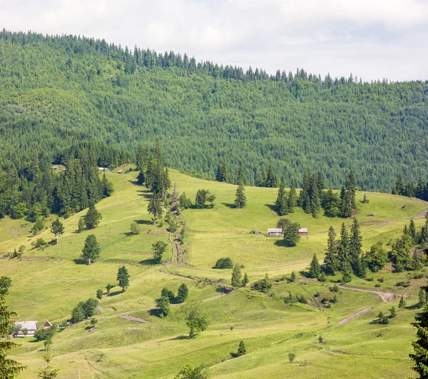 Village houses on hills with green meadows in summer day