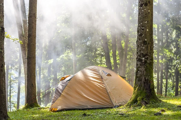Кемпинг палатка в зеленом лесу — стоковое фото