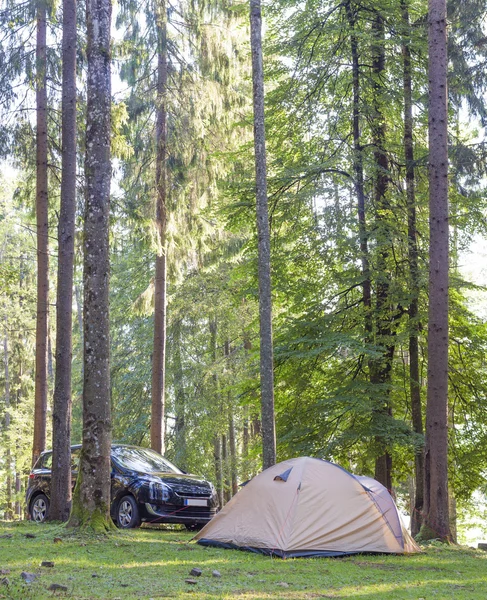 Camping namiot i samochód w zielonym lesie — Zdjęcie stockowe