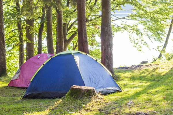 Camping Namioty w zielonym lesie — Zdjęcie stockowe