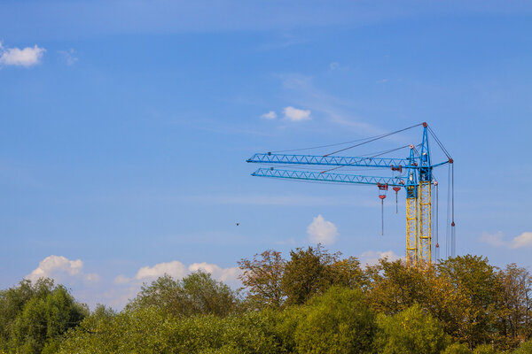 Tower cranes on a construction site near green trees