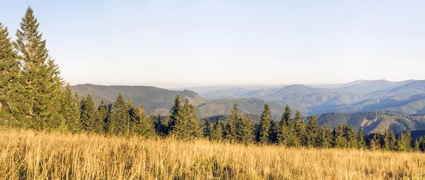 Panorama of morning sunrise in mountains and sunlit meadow — Stock Photo, Image