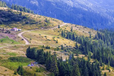 Yaz güneşli bir günde Karpat Dağları Panoraması.