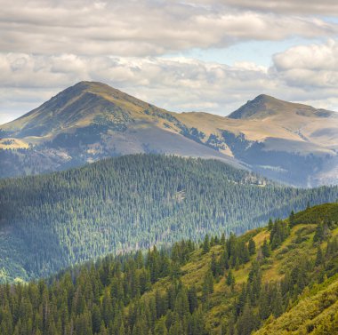 Yaz güneşli bir günde Karpat Dağları Panoraması.