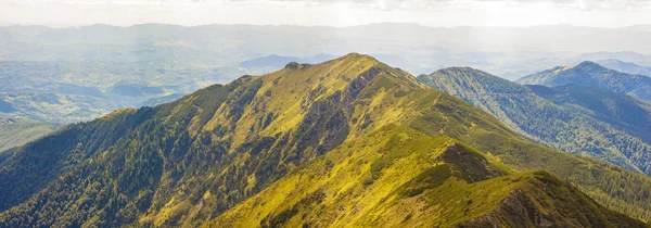 Panorama des montagnes des Carpates en été journée ensoleillée. — Photo