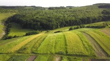 Tohum ekme mevsiminden sonra taze bitki örtüsüyle ilkbaharda yeşil tarım alanlarının havadan görünüşü.