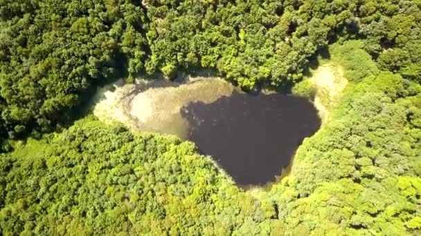 Vista Aérea Pequeño Lago Forestal Medio Frondosos Bosques Verano — Vídeos de Stock