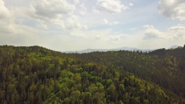 Letecký Pohled Vysoké Hory Pokryté Zeleným Smrkovým Lesem Oblačného Letního — Stock video