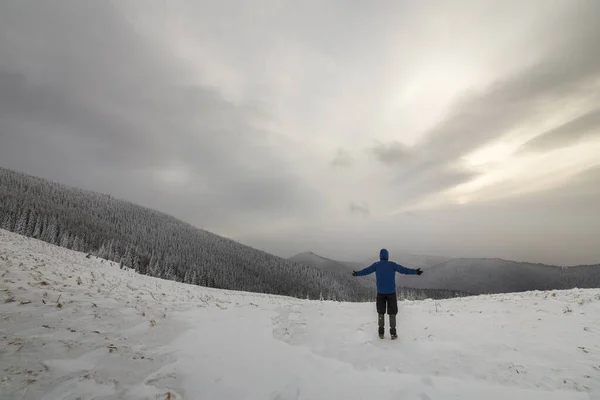 Sırt Çantalı Sırt Çantalı Sırt Çantalı Turistin Arkadan Görünüşü Alacalı — Stok fotoğraf