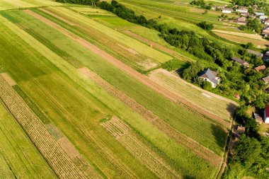 Sıcak, güneşli bir günde tohum ekme mevsiminden sonra taze bitki örtüsüyle ilkbaharda yeşil tarım arazilerinin havadan görünüşü.