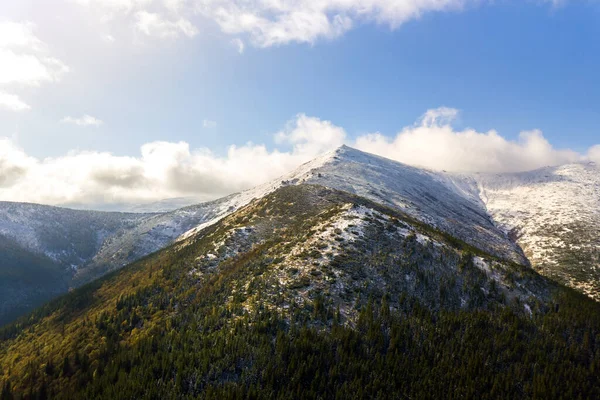 High mountain peaks covered with autumn spruce forest and high snowy summits.